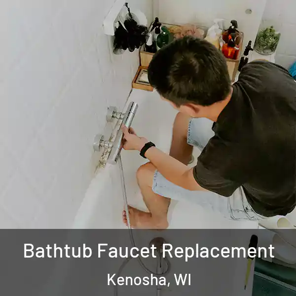  Bathtub Faucet Replacement Kenosha, WI