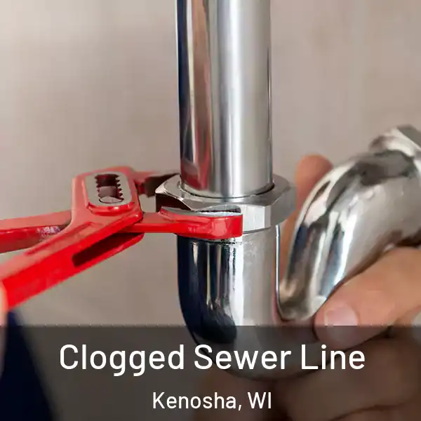  Clogged Sewer Line Kenosha, WI