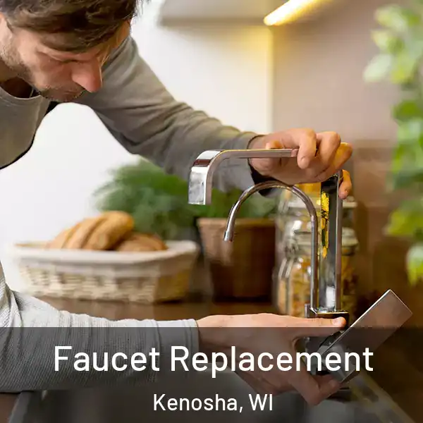  Faucet Replacement Kenosha, WI
