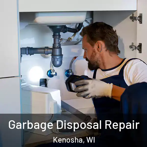  Garbage Disposal Repair Kenosha, WI