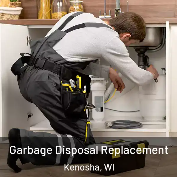  Garbage Disposal Replacement Kenosha, WI
