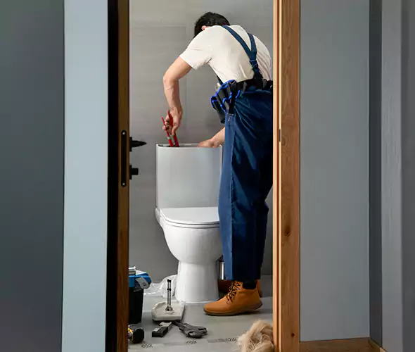Professional Plumbers for Toilet Bowl Replacement in Kenosha, WI: Schedule Affordable Toilet Replacement Services With Us