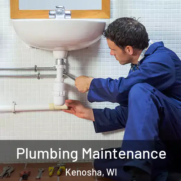  Plumbing Maintenance Kenosha, WI
