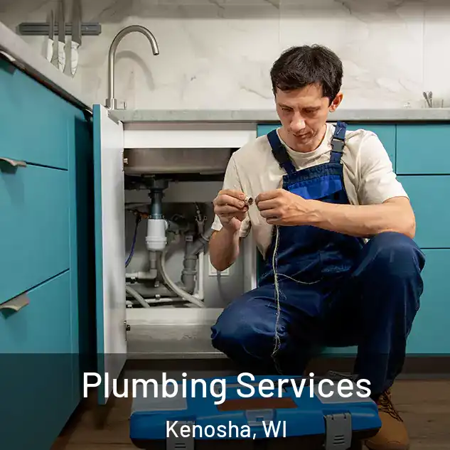  Plumbing Services Kenosha, WI