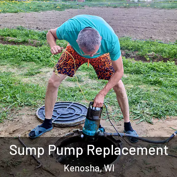  Sump Pump Replacement Kenosha, WI