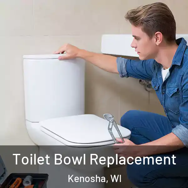  Toilet Bowl Replacement Kenosha, WI