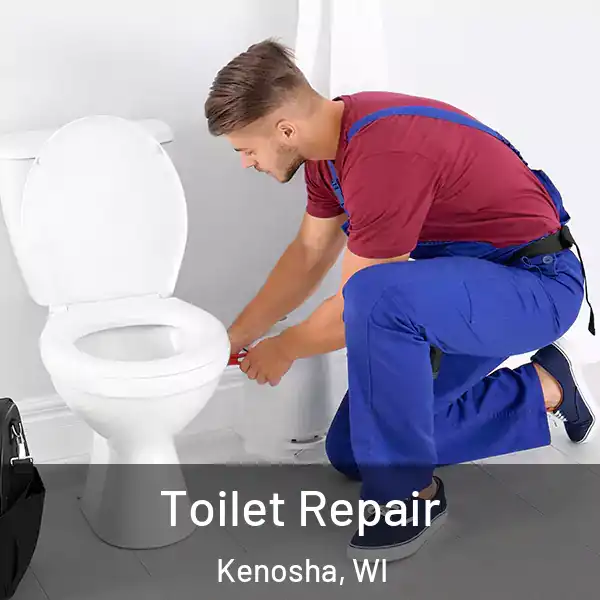  Toilet Repair Kenosha, WI