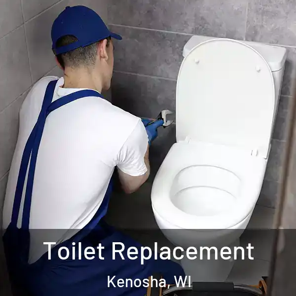  Toilet Replacement Kenosha, WI