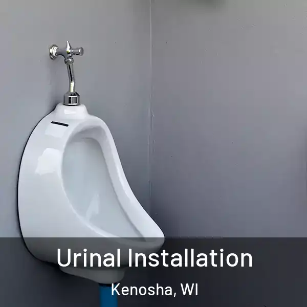  Urinal Installation Kenosha, WI