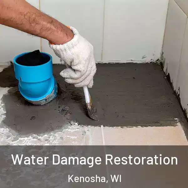  Water Damage Restoration Kenosha, WI