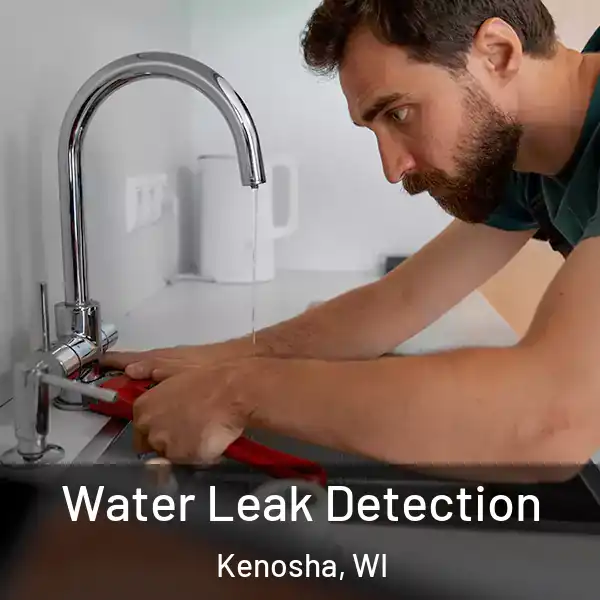  Water Leak Detection Kenosha, WI