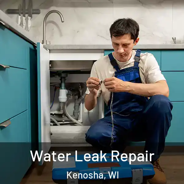  Water Leak Repair Kenosha, WI